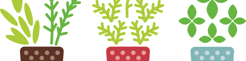 דמוי צמחים